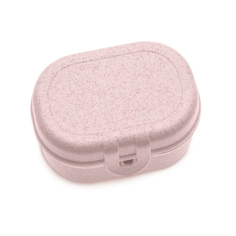 Pascal Mini Lunchbox