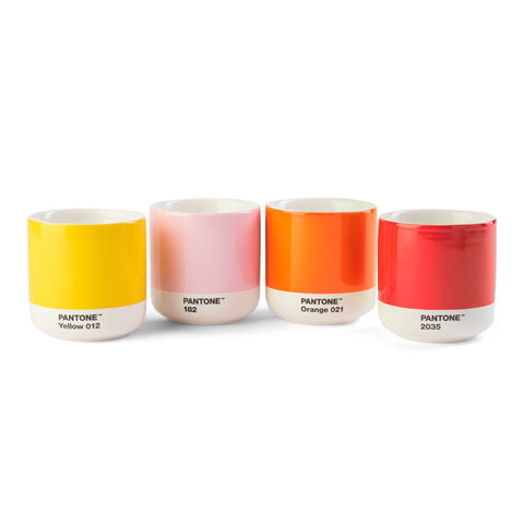 Cortado Beker Dubbelwandig 170 ml in Giftbox Set van 4 Stuks