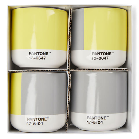 COY21 Espressobeker 120 ml Set van 4 Stuks in Giftbox.
